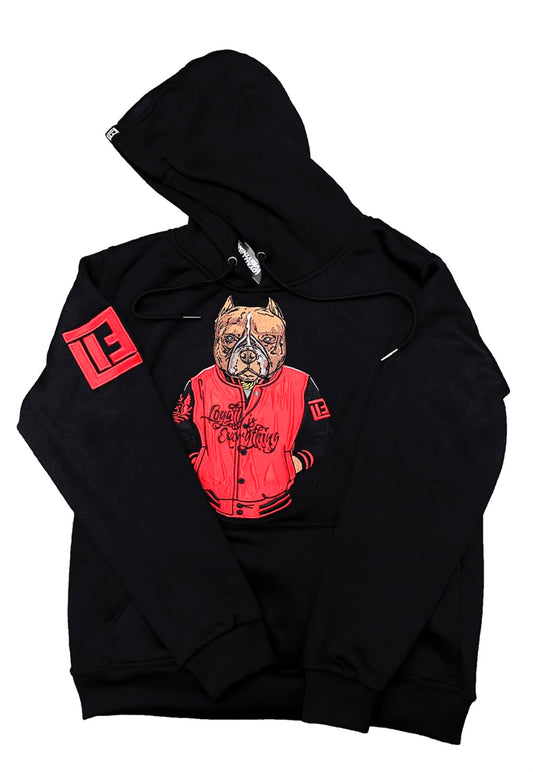 Mascot hoodie with Sherpa